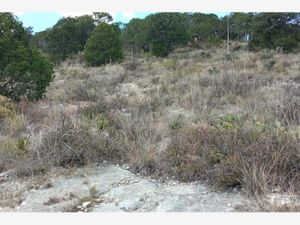 Terreno en Venta en Los Llanos Arteaga