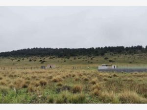 Terreno en Venta en San Ignacio de Abajo Arteaga