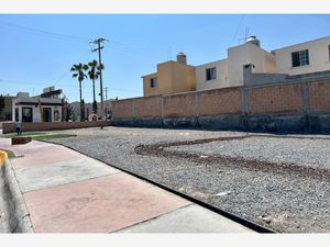 Terreno en Renta en Lomas del Valle Ramos Arizpe