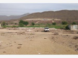 Terreno en Venta en El Cactus Ramos Arizpe