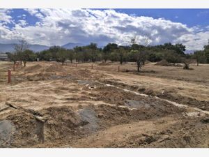 Terreno en Venta en La Herradura Saltillo