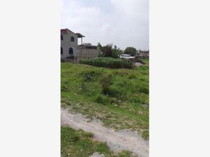 Terreno en Venta en Villa Cuauhtemoc Otzolotepec