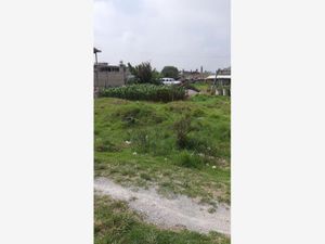 Terreno en Venta en Villa Cuauhtemoc Otzolotepec