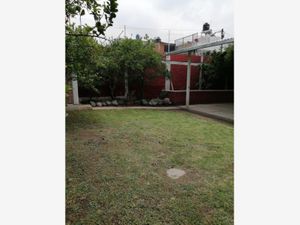 Terreno en Venta en San Francisco Acuautla Ixtapaluca