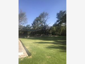 Finca/Rancho en Venta en Cañada de Madero Tepeji del Río de Ocampo