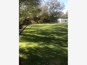 Finca/Rancho en Venta en Cañada de Madero Tepeji del Río de Ocampo