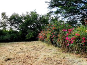 Terreno en Venta en El Chivato (Providencia) Villa de Álvarez