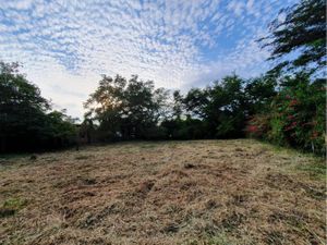 Terreno en Venta en El Chivato (Providencia) Villa de Álvarez