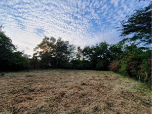 Terreno en Venta en El Chivato (Providencia) Villa de Álvarez