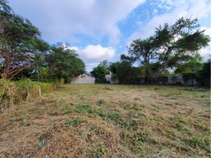 Terreno en Venta en El Chivato (Providencia) Villa de Álvarez