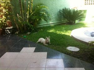 Casa en Venta en Del Valle Iguala de la Independencia