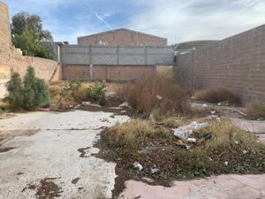 Terreno en Venta en Gomez Palacio Centro Gómez Palacio