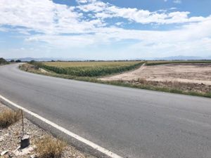 Terreno en Venta en La Concha Torreón