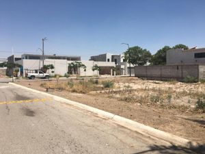 Terreno en Venta en Las Quintas Torreón