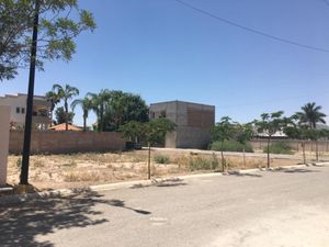 Terreno en Venta en Las Quintas Torreón