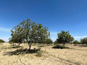 Finca/Rancho en Venta en Piedra Blanca Parras