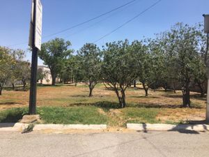 Terreno en Venta en Las Quintas Torreón