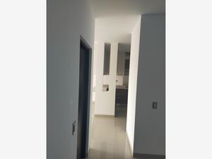 Casa en Venta en Irapuato Centro Irapuato