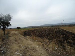 Terreno en Venta en La Caja Irapuato