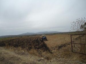 Terreno en Venta en La Caja Irapuato
