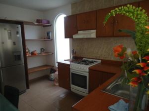 Casa en Renta en San Antonio de Ayala Irapuato