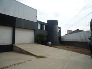 Bodega en Renta en Penjamo Centro Pénjamo