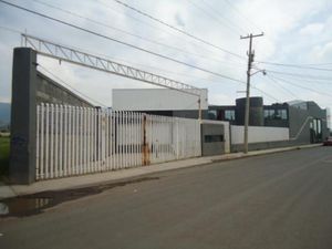 Bodega en Renta en Penjamo Centro Pénjamo