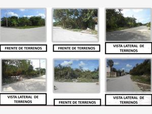 Terreno en Venta en Supermanzana 226 Benito Juárez