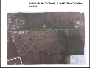 Terreno en Venta en El Pando Veracruz