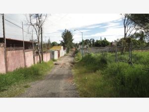 Terreno en Venta en Monte Rubio (Borucas) Morelia