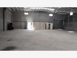 Bodega en Renta en Fundadores Saltillo