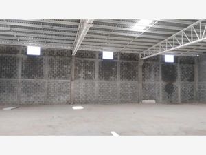 Bodega en Renta en Fundadores Saltillo