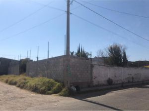 Terreno en Renta en Mayorazgo Puebla