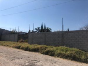 Terreno en Renta en Mayorazgo Puebla