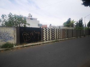 Terreno en Renta en Cleotilde Torres Puebla