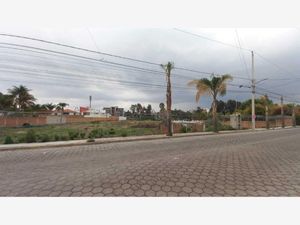 Terreno en Venta en La Loma (Ejido Romero Vargas Puebla