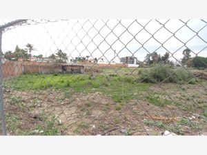 Terreno en Venta en La Loma (Ejido Romero Vargas Puebla