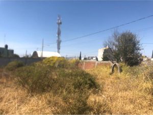 Terreno en Renta en Mayorazgo Puebla