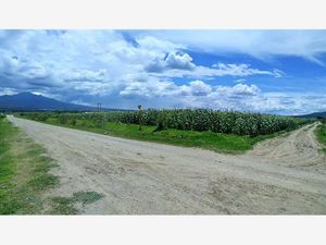 Terreno en Venta en Huamantla Centro Huamantla