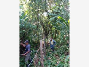 Terreno en Venta en Palenque Palenque