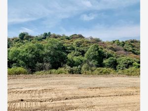 Terreno en Venta en Bosque Real Huixquilucan