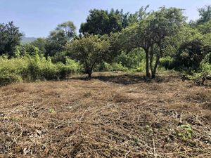 Terreno en Venta en Ignacio Bastida (Santa Catarina Tlayca) Yautepec