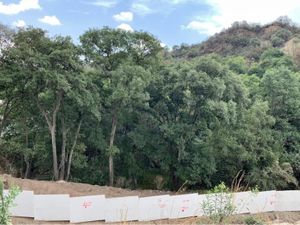 Terreno en Venta en Bosque Real Huixquilucan