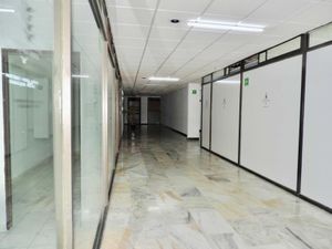 Oficina en Renta en Los Alamos Naucalpan de Juárez