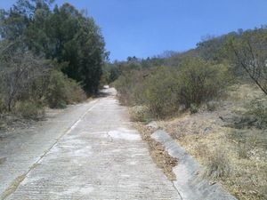 Terreno en Venta en Las Ánimas (Ex-Hacienda las Ánimas) Naucalpan de Juárez