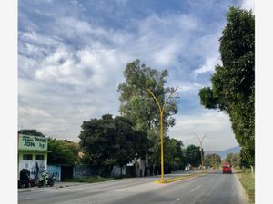 Terreno en Venta en Centro Yautepec