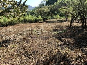 Terreno en Venta en Ignacio Bastida (Santa Catarina Tlayca) Yautepec