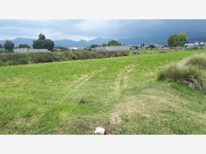 Terreno en Venta en Guadalupe Actopan