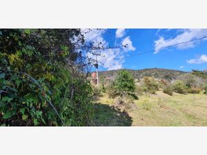 Terreno en Venta en La Estanzuela Mineral del Chico