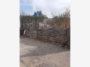 Terreno en Venta en San Pablo Tecalco Tecámac